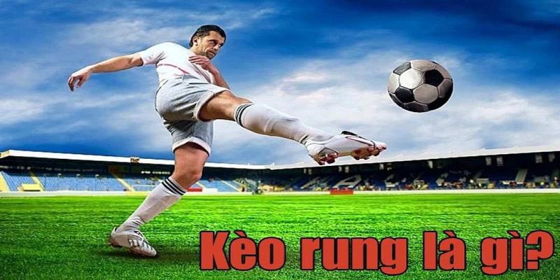 Kèo Rung Là Gì? Hướng Dẫn Đọc Và Kinh Nghiệm Soi Kèo Rung